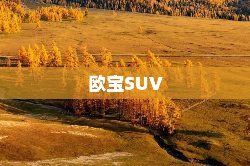 欧宝SUV:奢华与实用的完美结合 欧宝SUV:奢华与实用的完美结合