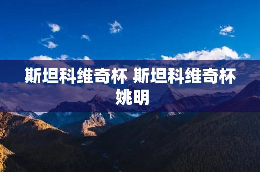 斯坦科维奇杯 斯坦科维奇杯 姚明