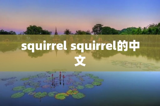 squirrel squirrel的中文