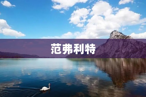 范弗利特：破解传统音乐界的创新先锋