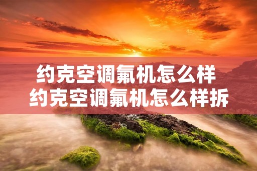 约克空调氟机怎么样 约克空调氟机怎么样拆