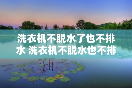洗衣机不脱水了也不排水 洗衣机不脱水也不排水怎么解决E1 洗衣机不脱水了也不排水 洗衣机不脱水也不排水怎么解决E1