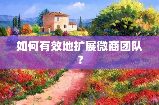 如何有效地扩展微商团队?