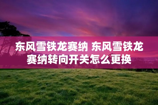 东风雪铁龙赛纳 东风雪铁龙赛纳转向开关怎么更换 东风雪铁龙赛纳 东风雪铁龙赛纳转向开关怎么更换