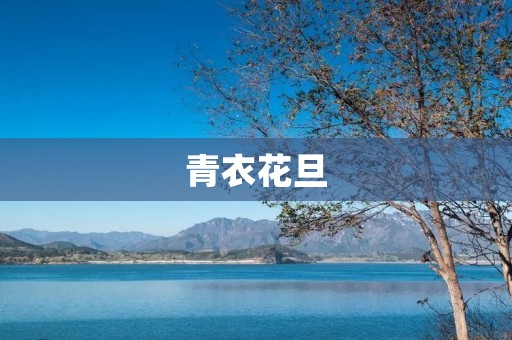 青衣花旦:传统艺术的瑰宝