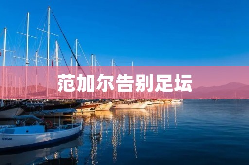 范加尔告别足坛:荷兰教父的传奇谢幕 范加尔告别足坛:荷兰教父的传奇谢幕