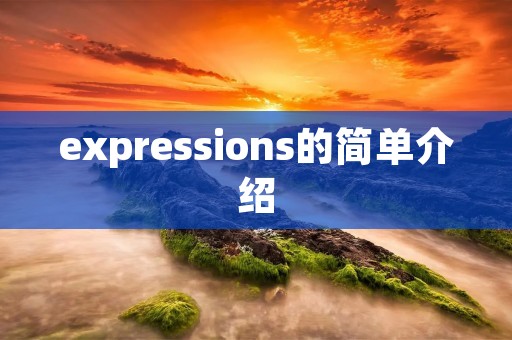 expressions的简单介绍 expressions的简单介绍
