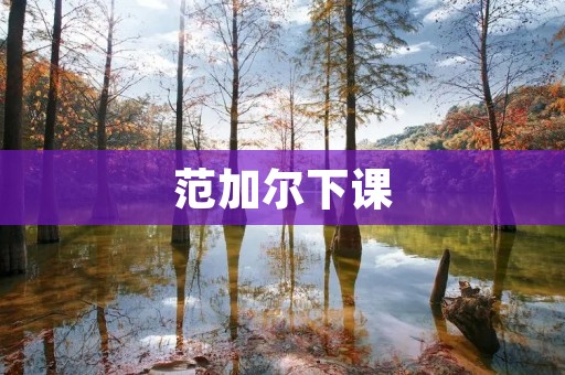 范加尔下课:荷兰足球的转折点 范加尔下课:荷兰足球的转折点