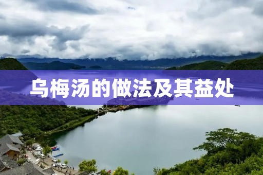 乌梅汤的做法及其益处