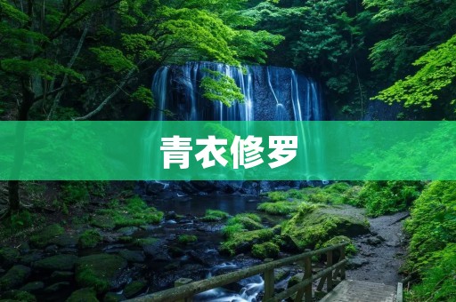 青衣修罗:黑暗中的孤独战士
