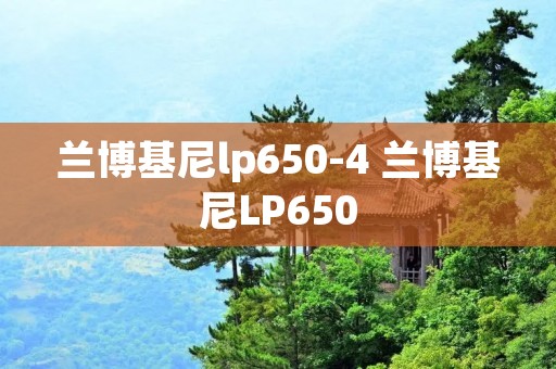 兰博基尼lp650-4 兰博基尼LP650 兰博基尼lp650-4 兰博基尼LP650