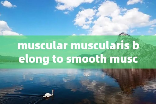 muscular muscularis belong to smooth muscle