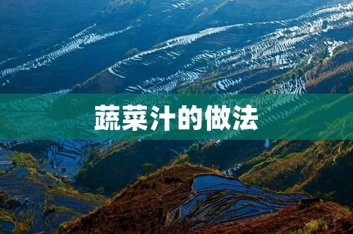 蔬菜汁的做法
