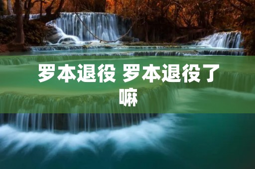罗本退役 罗本退役了嘛