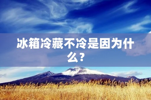 冰箱冷藏不冷是因为什么? 冰箱冷藏不冷是因为什么?