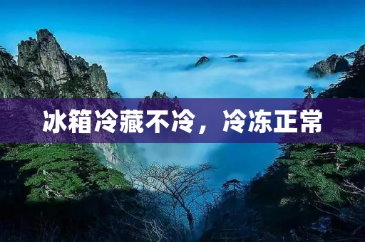 冰箱冷藏不冷,冷冻正常:原因分析与解决方法 冰箱冷藏不冷,冷冻正常:原因分析与解决方法