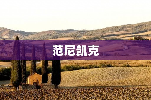 范尼凯克：探索未知领域的创新之路