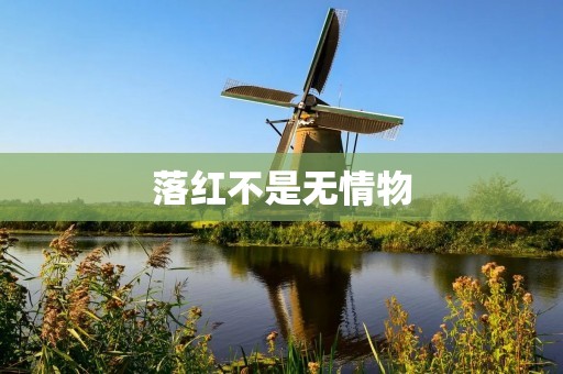 落红不是无情物:一种生命的轮回