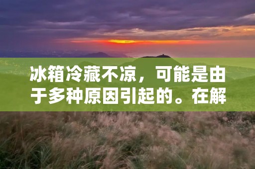 冰箱冷藏不凉，可能是由于多种原因引起的。在解决这个问题之前，我们需要了解一些可能导致冰箱不冷的常见原因。