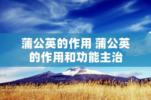 蒲公英的作用 蒲公英的作用和功能主治