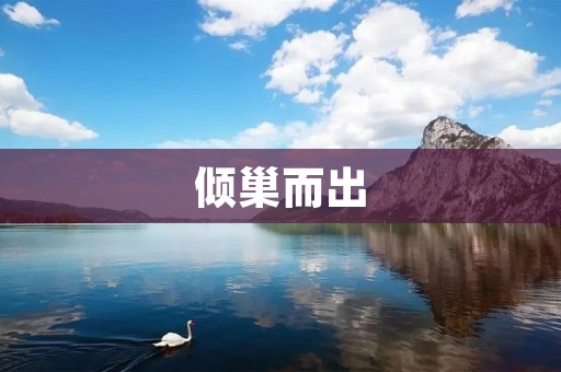 倾巢而出:一场壮观的自然奇观