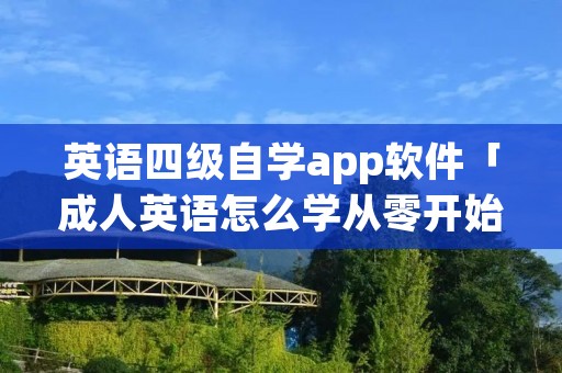 英语四级自学app软件「成人英语怎么学从零开始」