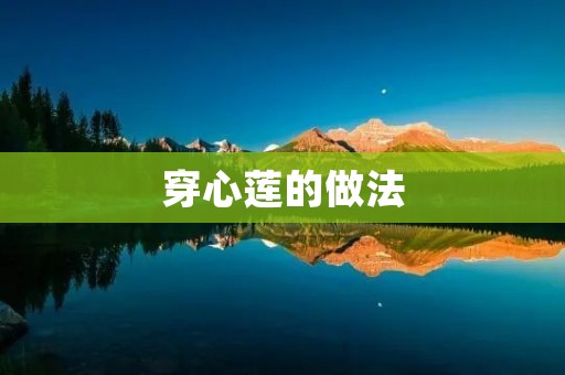穿心莲的做法:打造花园中的绚丽风景