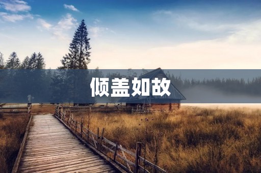 倾盖如故：探寻情感的深度与牢固