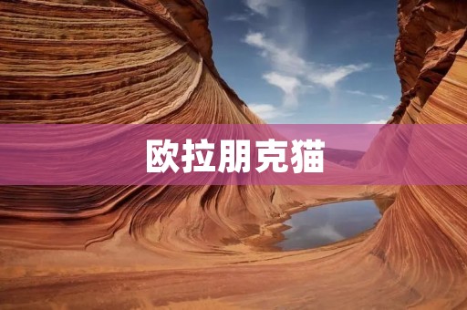欧拉朋克猫：探索未来的科技与艺术融合