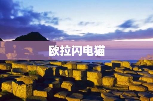 欧拉闪电猫:探索未知领域的勇者 欧拉闪电猫:探索未知领域的勇者