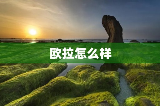 欧拉怎么样:探索数学世界的杰出数学家 欧拉怎么样:探索数学世界的杰出数学家