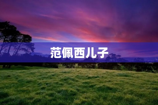 范佩西儿子：一个足球天才的成长之路