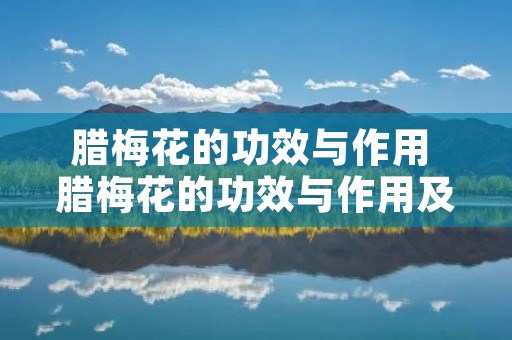 腊梅花的功效与作用 腊梅花的功效与作用及食用方法