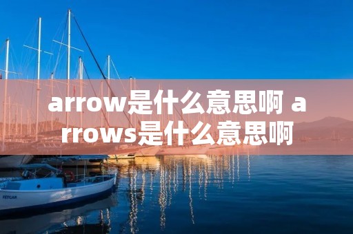 arrow是什么意思啊 arrows是什么意思啊