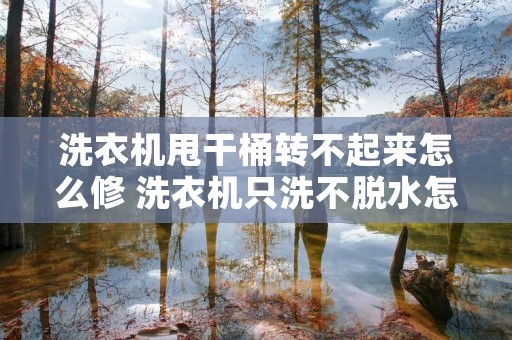 洗衣机甩干桶转不起来怎么修 洗衣机只洗不脱水怎么解决视频