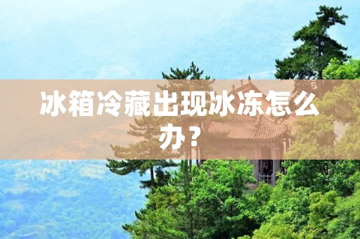 冰箱冷藏出现冰冻怎么办？