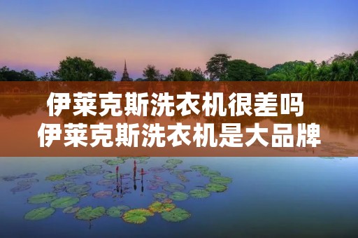伊莱克斯洗衣机很差吗 伊莱克斯洗衣机是大品牌吗 伊莱克斯洗衣机很差吗 伊莱克斯洗衣机是大品牌吗