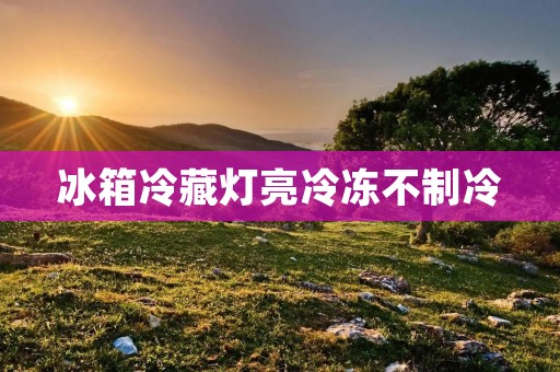 冰箱冷藏灯亮冷冻不制冷:原因与解决方法 冰箱冷藏灯亮冷冻不制冷:原因与解决方法
