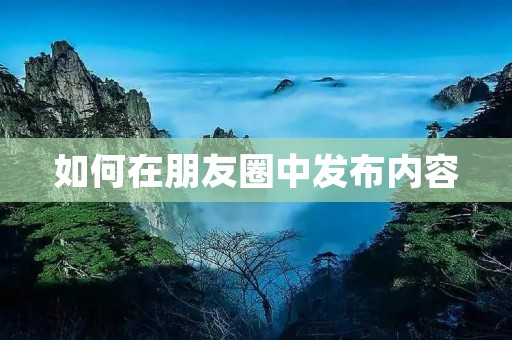 如何在朋友圈中发布内容
