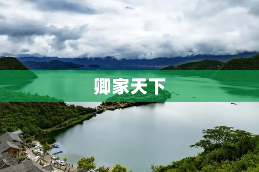 卿家天下：传承千年的家族荣耀