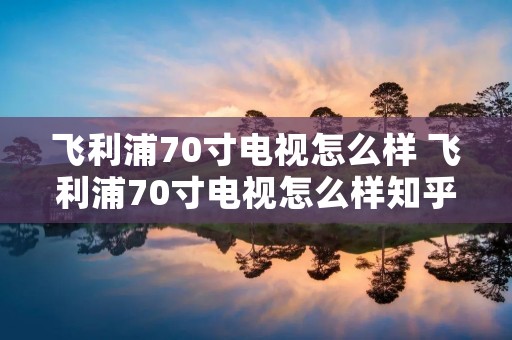 飞利浦70寸电视怎么样 飞利浦70寸电视怎么样知乎