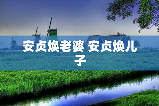 安贞焕老婆 安贞焕儿子