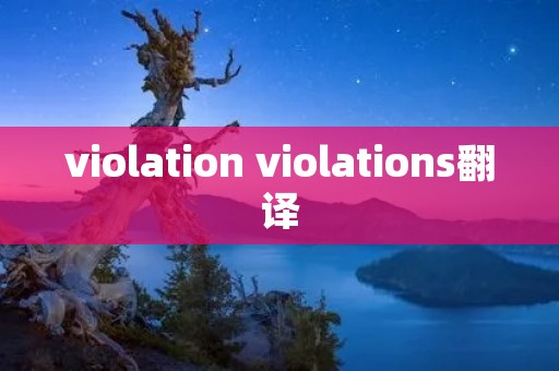 violation violations翻译