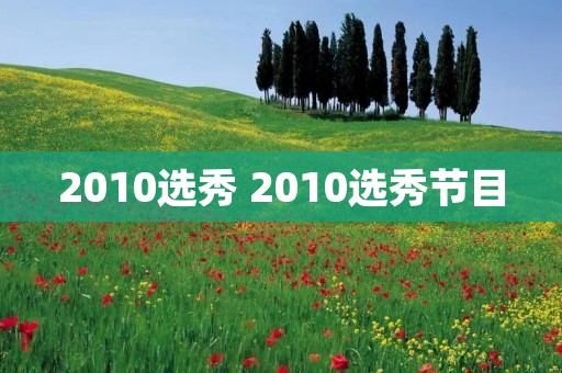 2010选秀 2010选秀节目