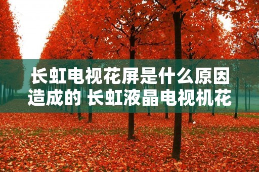 长虹电视花屏是什么原因造成的 长虹液晶电视机花屏的原因
