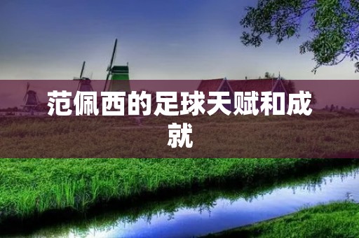 范佩西的足球天赋和成就 范佩西的足球天赋和成就