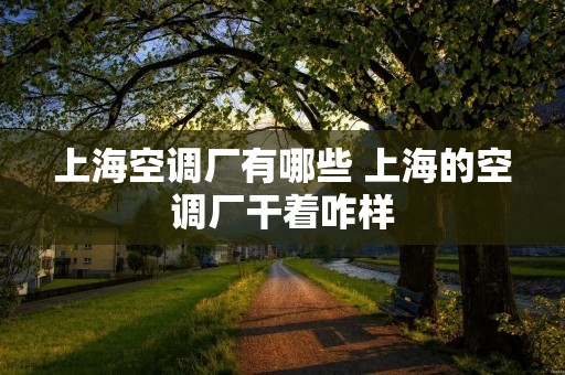 上海空调厂有哪些 上海的空调厂干着咋样 上海空调厂有哪些 上海的空调厂干着咋样