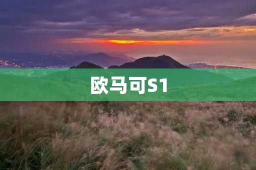 欧马可S1：一款引领智能出行的电动汽车