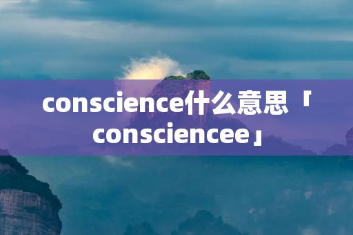 conscience什么意思「consciencee」