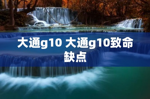 大通g10 大通g10致命缺点 大通g10 大通g10致命缺点